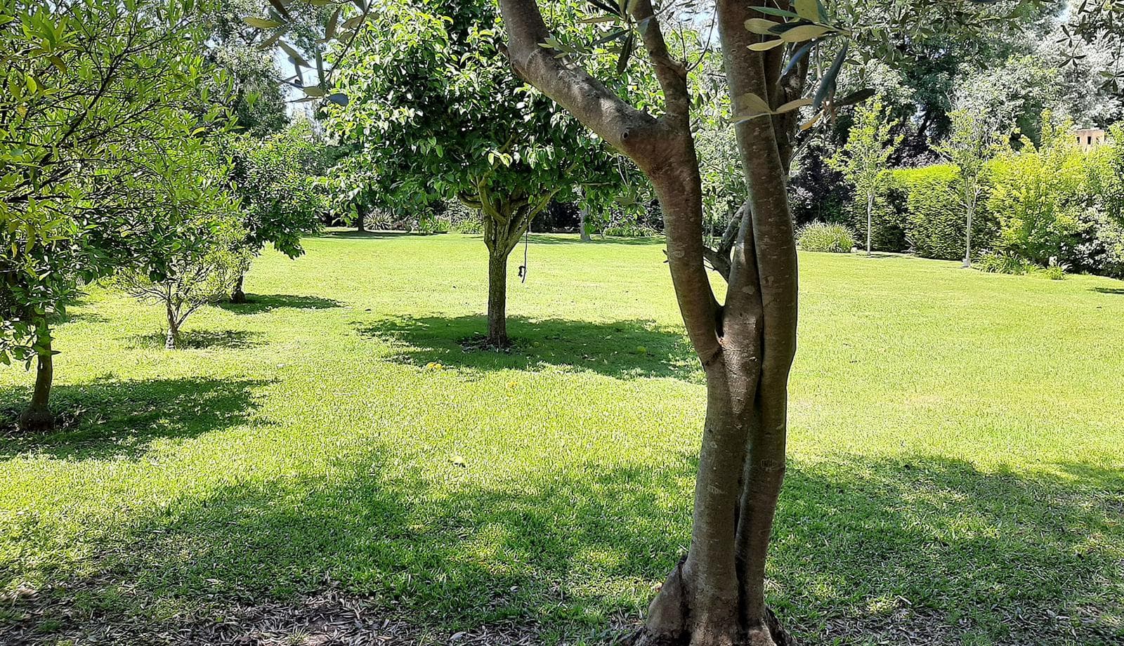 Land for Sale in Manzanares, Pilar Club de Campo San Francisco