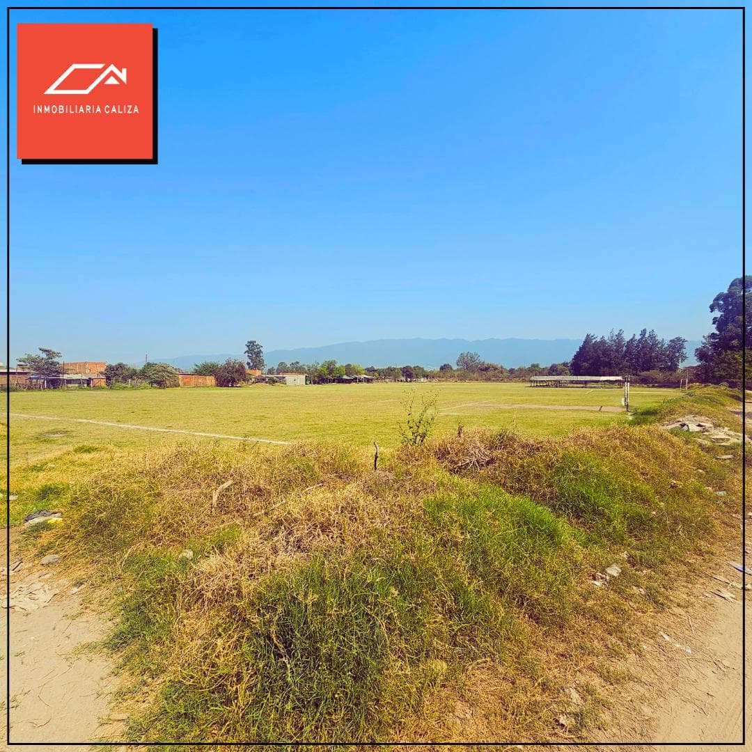 FOR SALE: 3 Hectares in the Maria Elena White Neighborhood - El Manantial