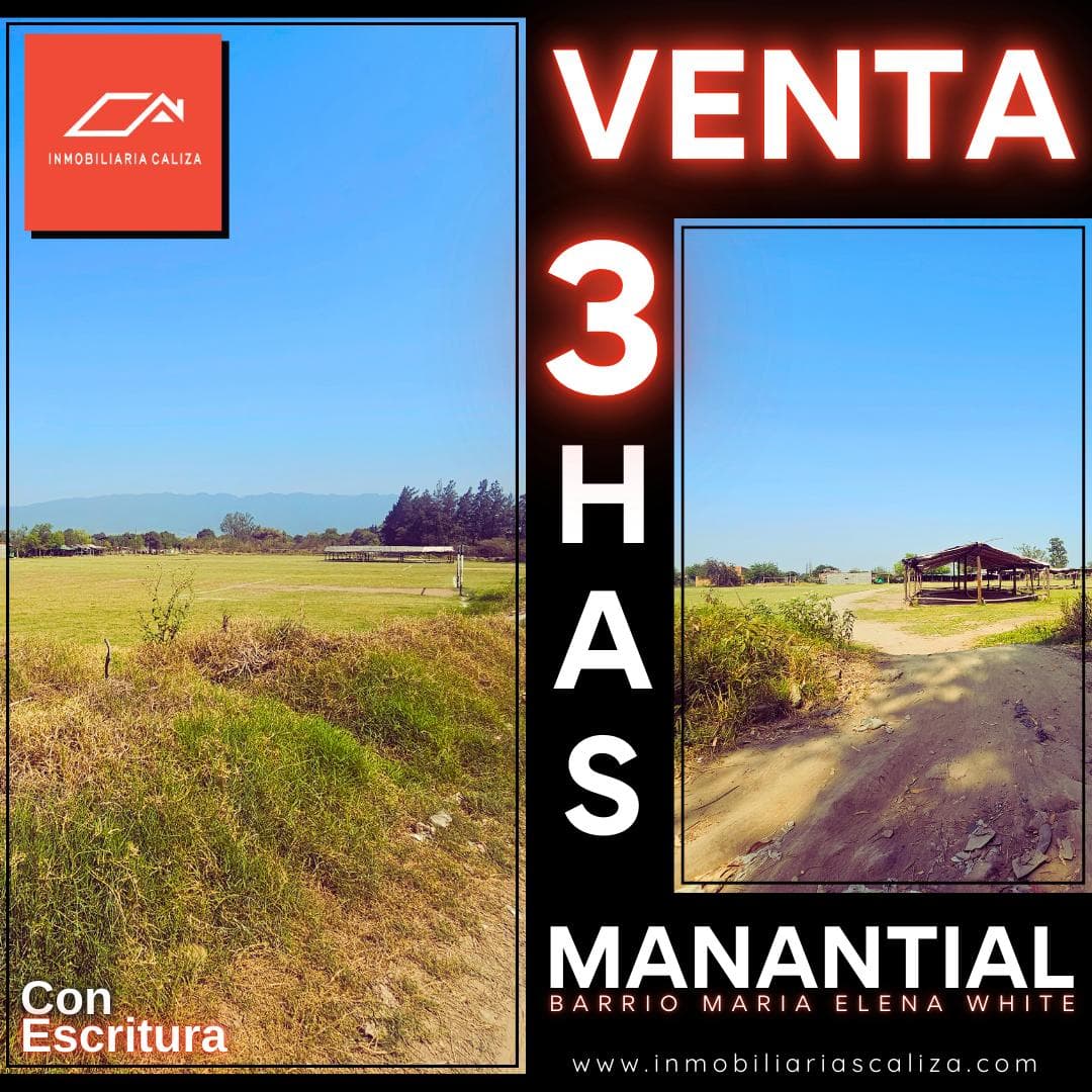 FOR SALE: 3 Hectares in the Maria Elena White Neighborhood - El Manantial