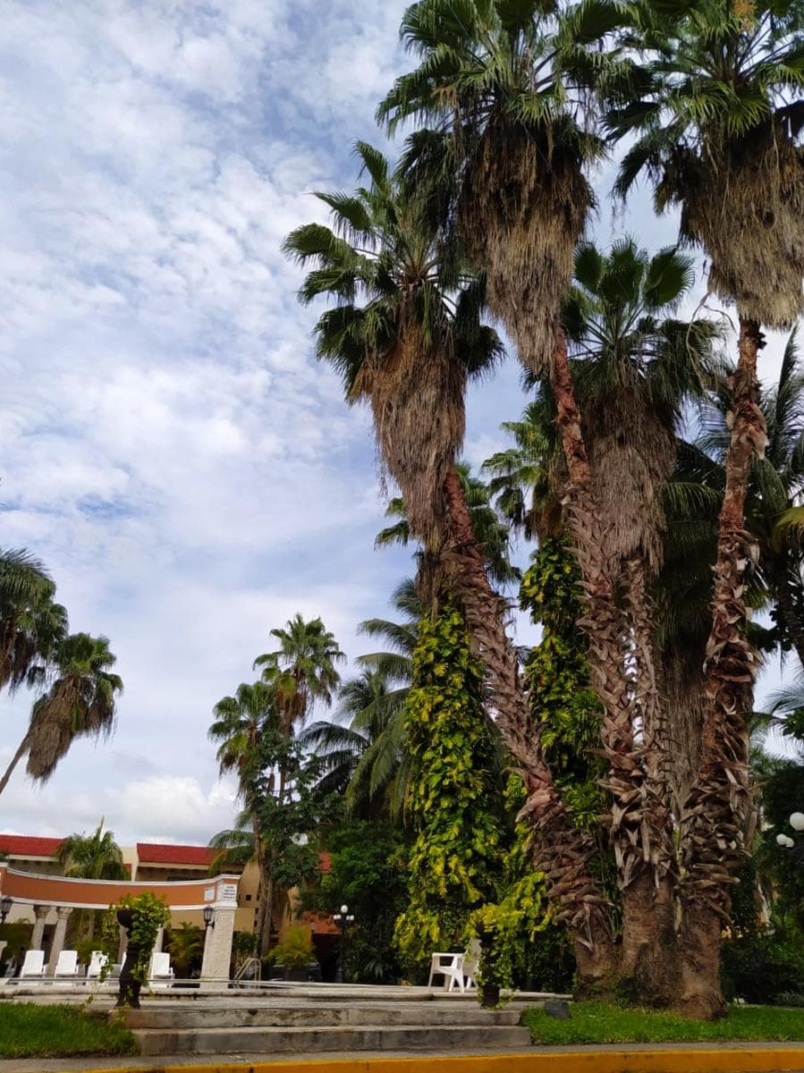 Apartment for Rent in Residencial Montecristo, Mérida, Yucatán