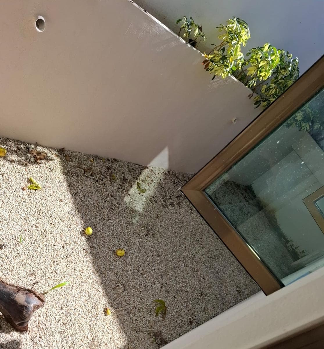 Apartment for Rent in Residencial Montecristo, Mérida, Yucatán