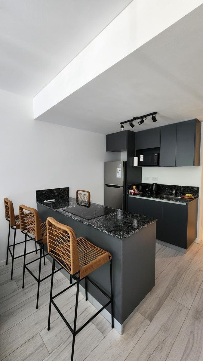 Apartment in Recoleta