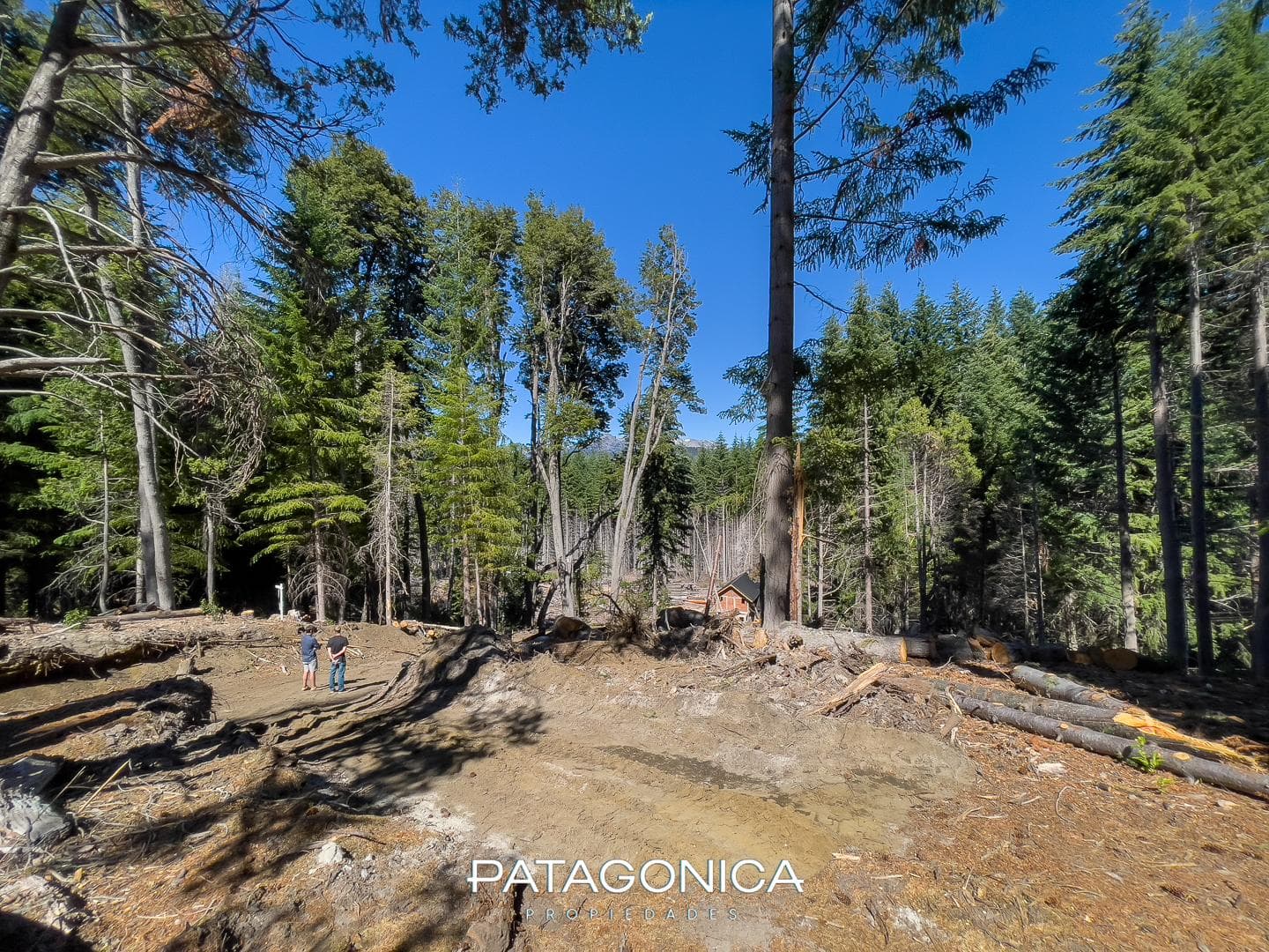 FOR SALE: 1,553 M2 LOT ON THE MANZANO PENINSULA, 50 M FROM THE BEACH - VILLA LA ANGOSTURA