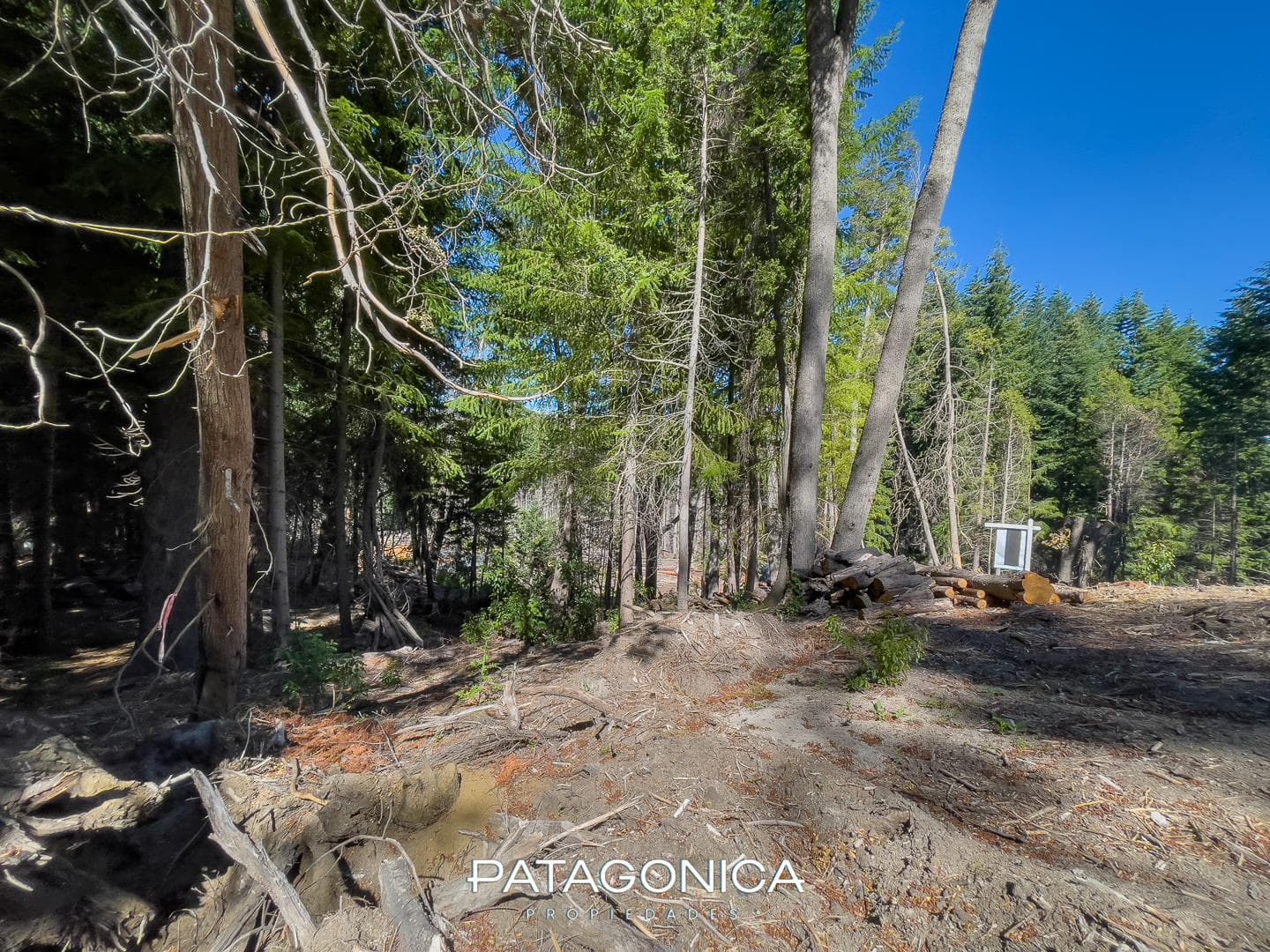 FOR SALE: 1,430 M2 LOT ON THE MANZANO PENINSULA, 50 M FROM THE BEACH - VILLA LA ANGOSTURA
