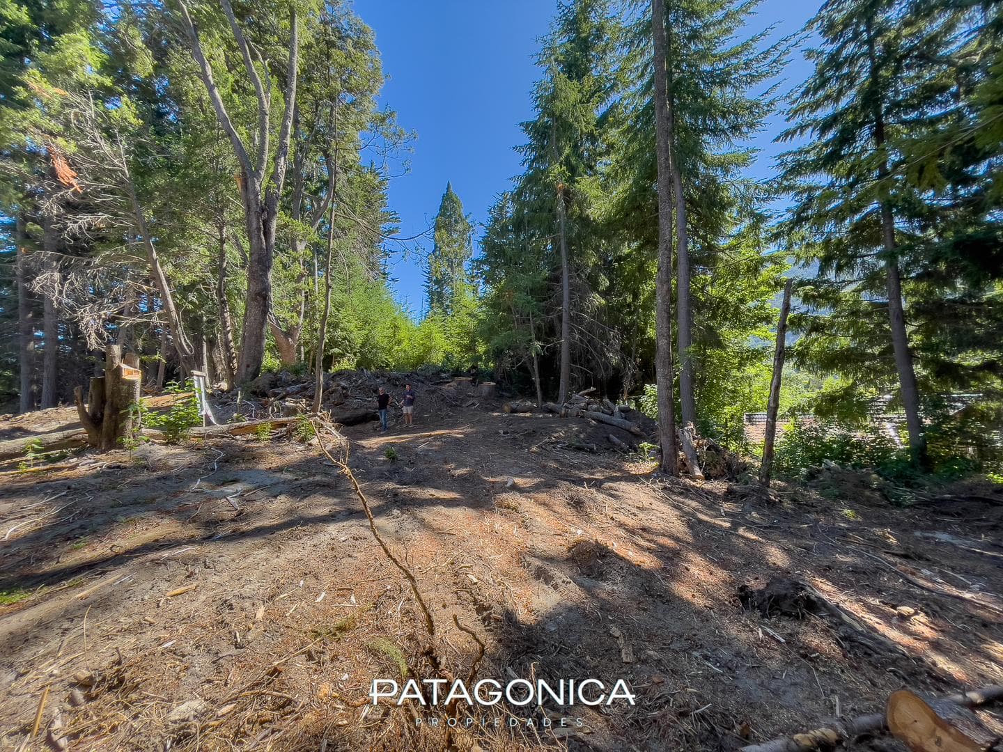 FOR SALE: 1,639 M2 LOT ON THE MANZANO PENINSULA, 50 M FROM THE BEACH - VILLA LA ANGOSTURA