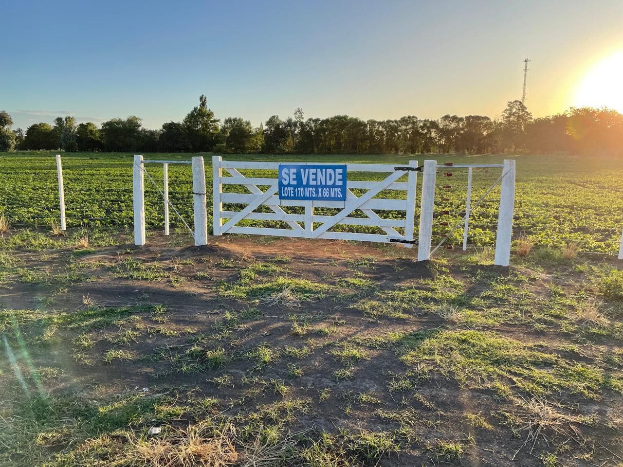 Exceptional plots of land in Carlos Casares