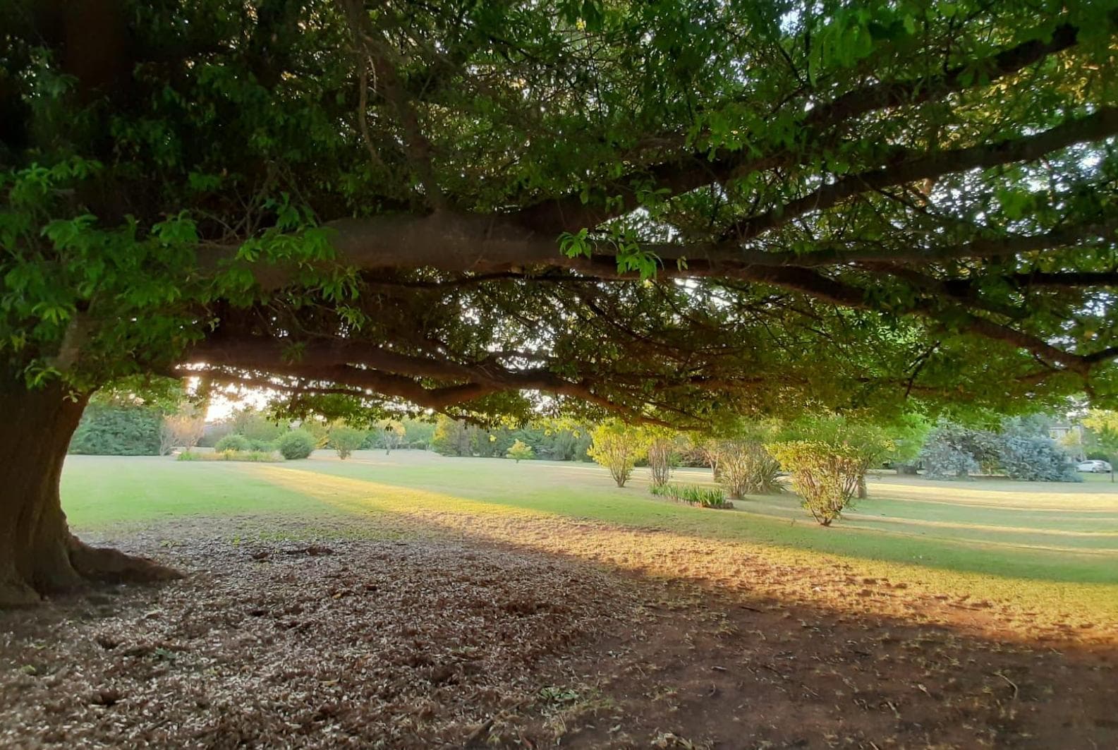 Lot Near the Lagoon at Club de Campo San Francisco Manzanares Pilar