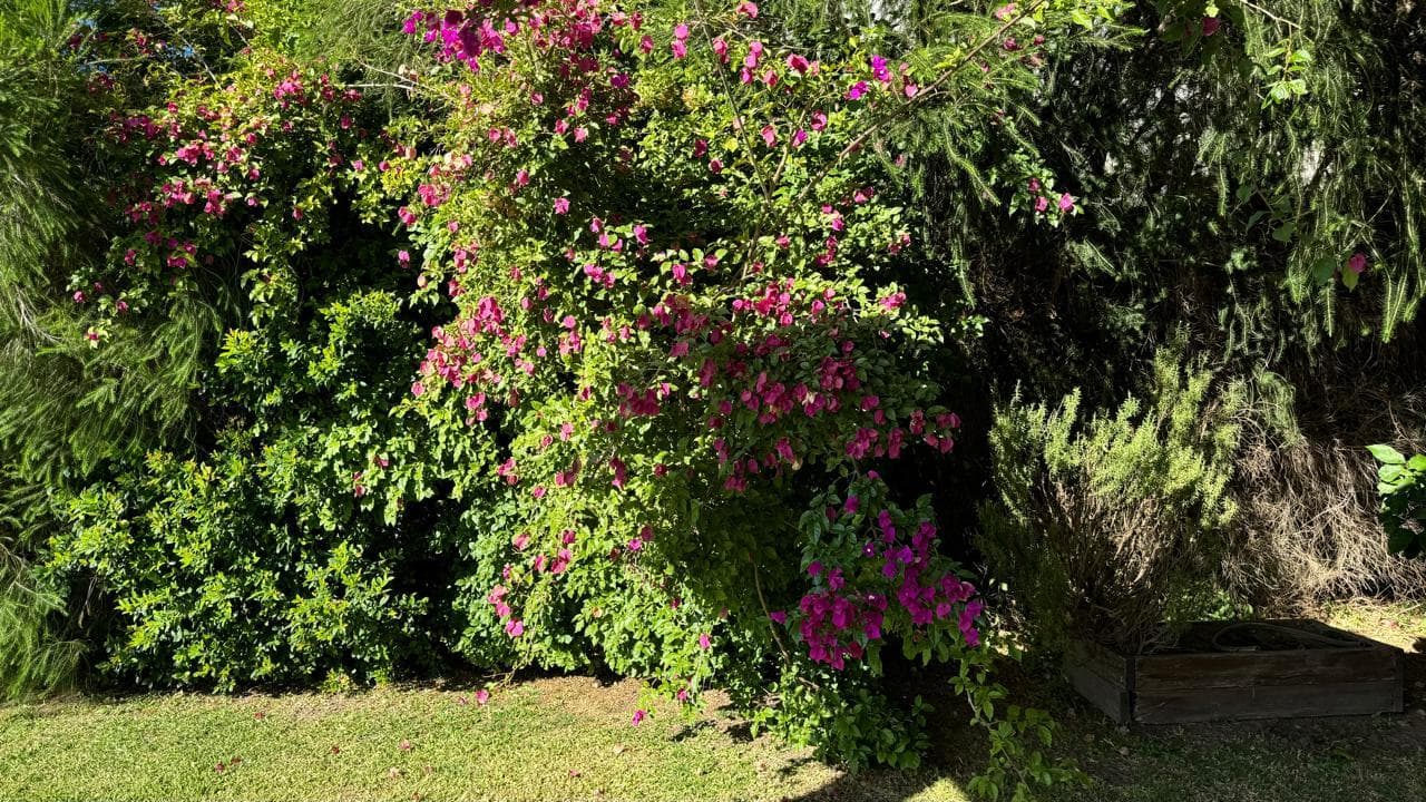 House for Sale Near the Lagoon, San Isidro Labrador, Villanueva