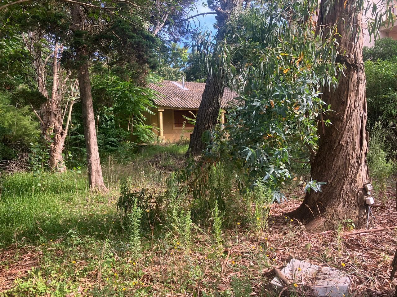 Excellent lot for a multi-family home in a great neighborhood in Gesell