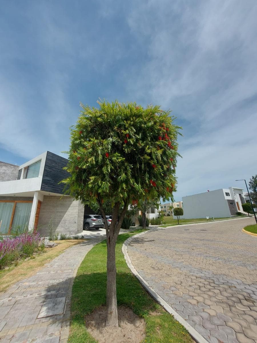 Land for SALE in the Lomas de Angelópolis Residential Condominium, Parque Nilo, Puebla