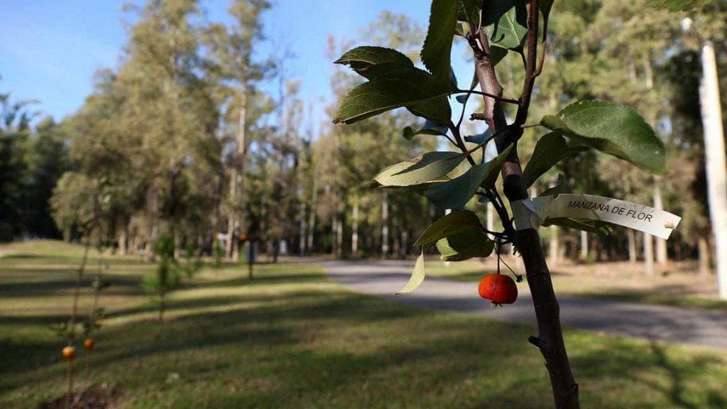 Sale/Financing: Lot in the Campo Timbo B50 Gated Community. 24 Fixed Payments