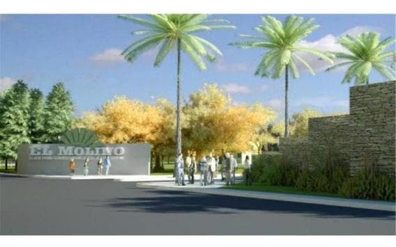 Land Opportunity in El Molino