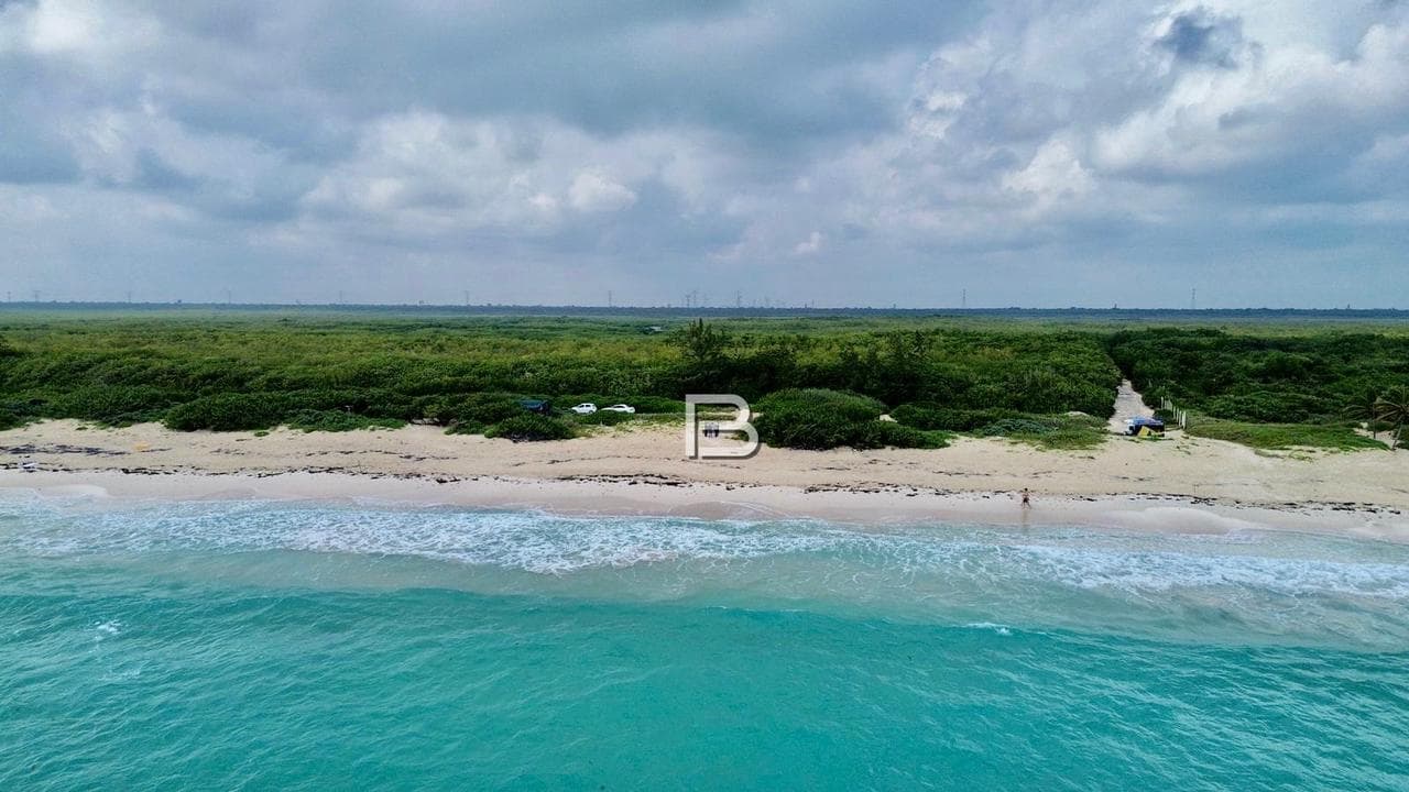 Beachfront Land for Sale in Puerto Morelos