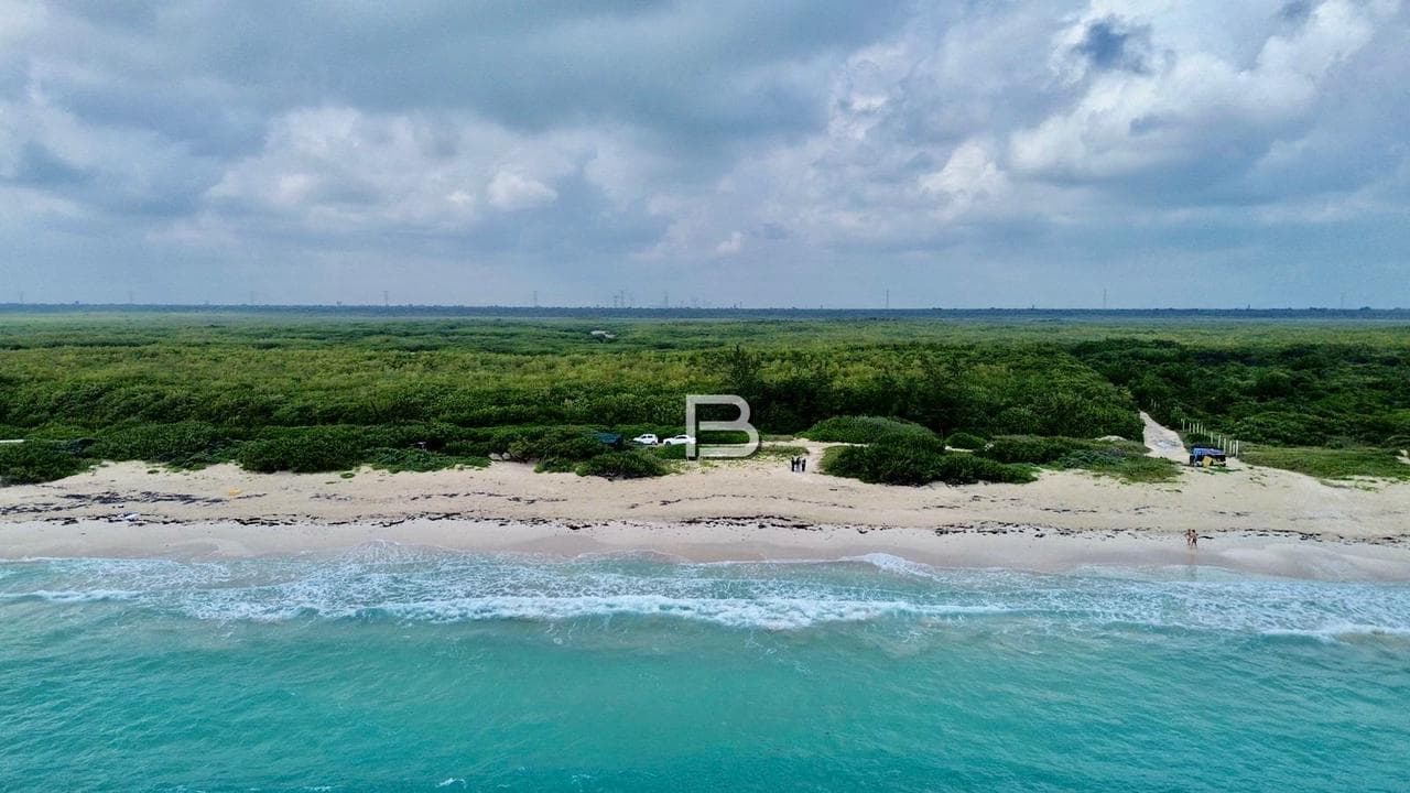 Beachfront Lots for Sale in Puerto Morelos
