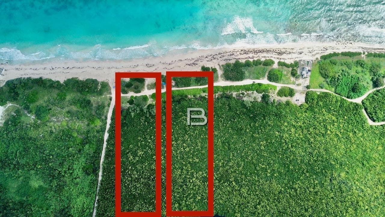 Beachfront Lots for Sale in Puerto Morelos