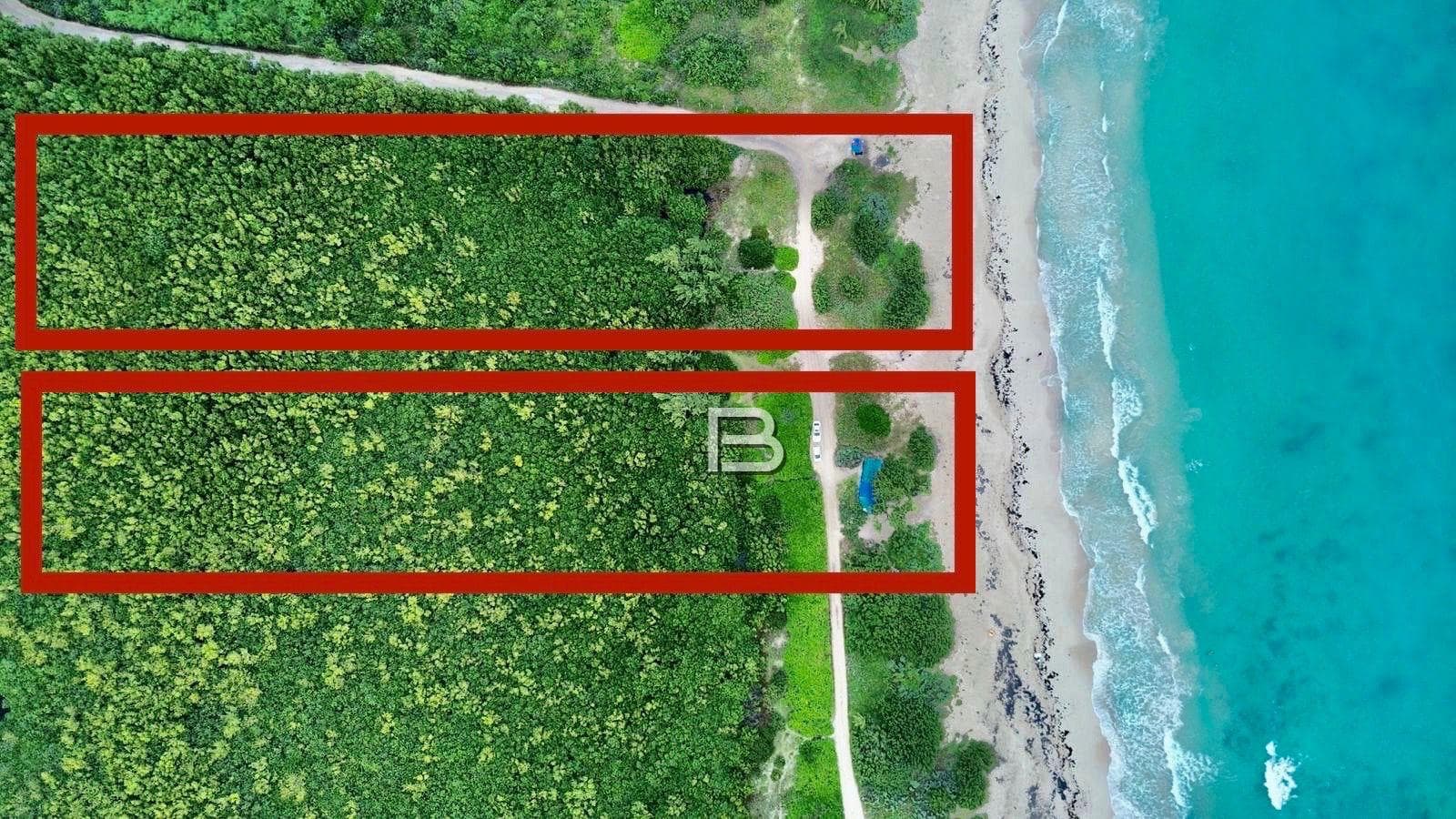 Beachfront Lots for Sale in Puerto Morelos