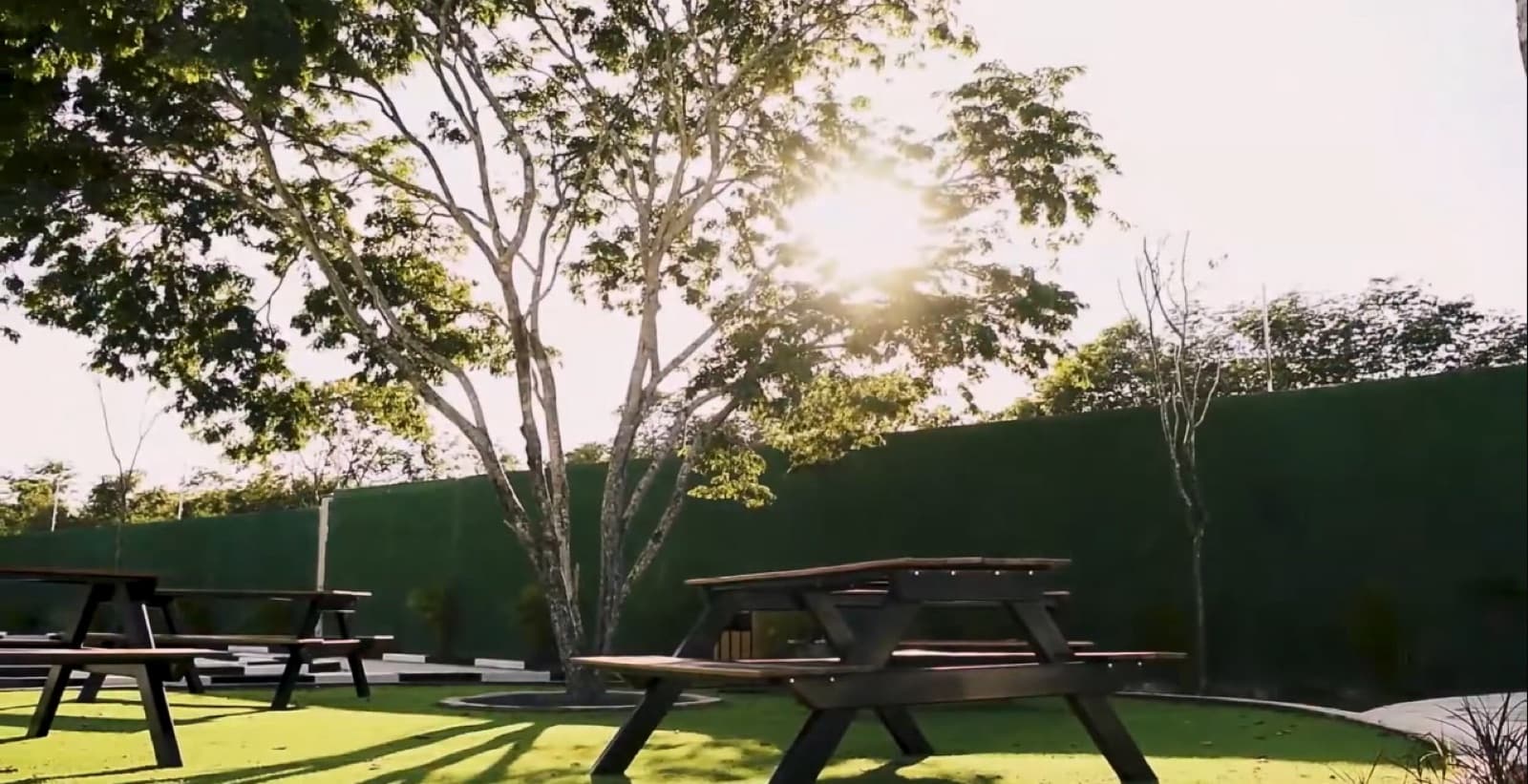 House - Conkal Village