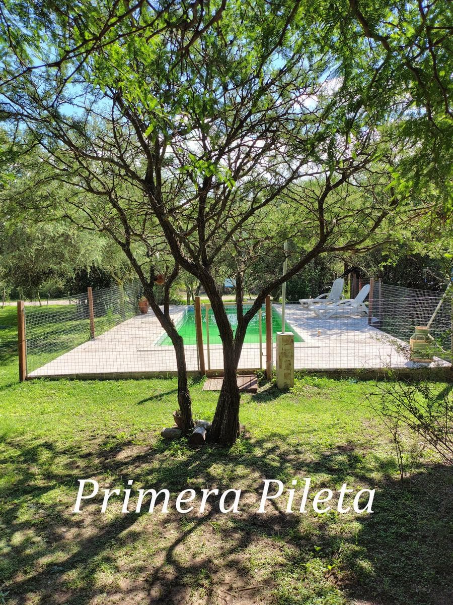 Complex of 3 Cabins in Arroyo de los Patos | Ideal for Vacation Rentals