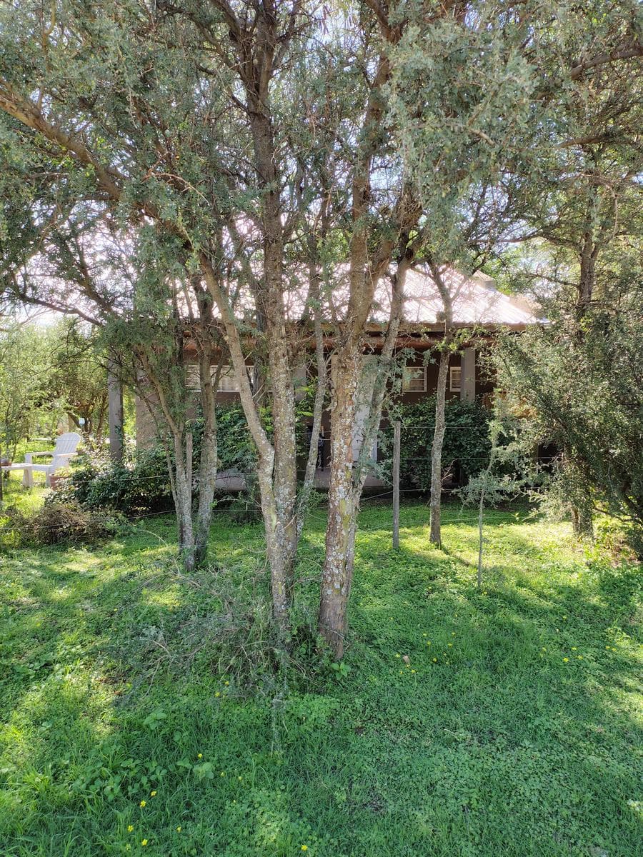 Complex of 3 Cabins in Arroyo de los Patos | Ideal for Vacation Rentals