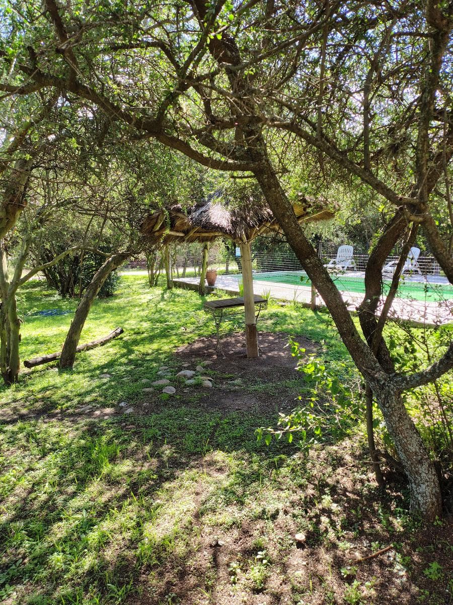 Complex of 3 Cabins in Arroyo de los Patos | Ideal for Vacation Rentals