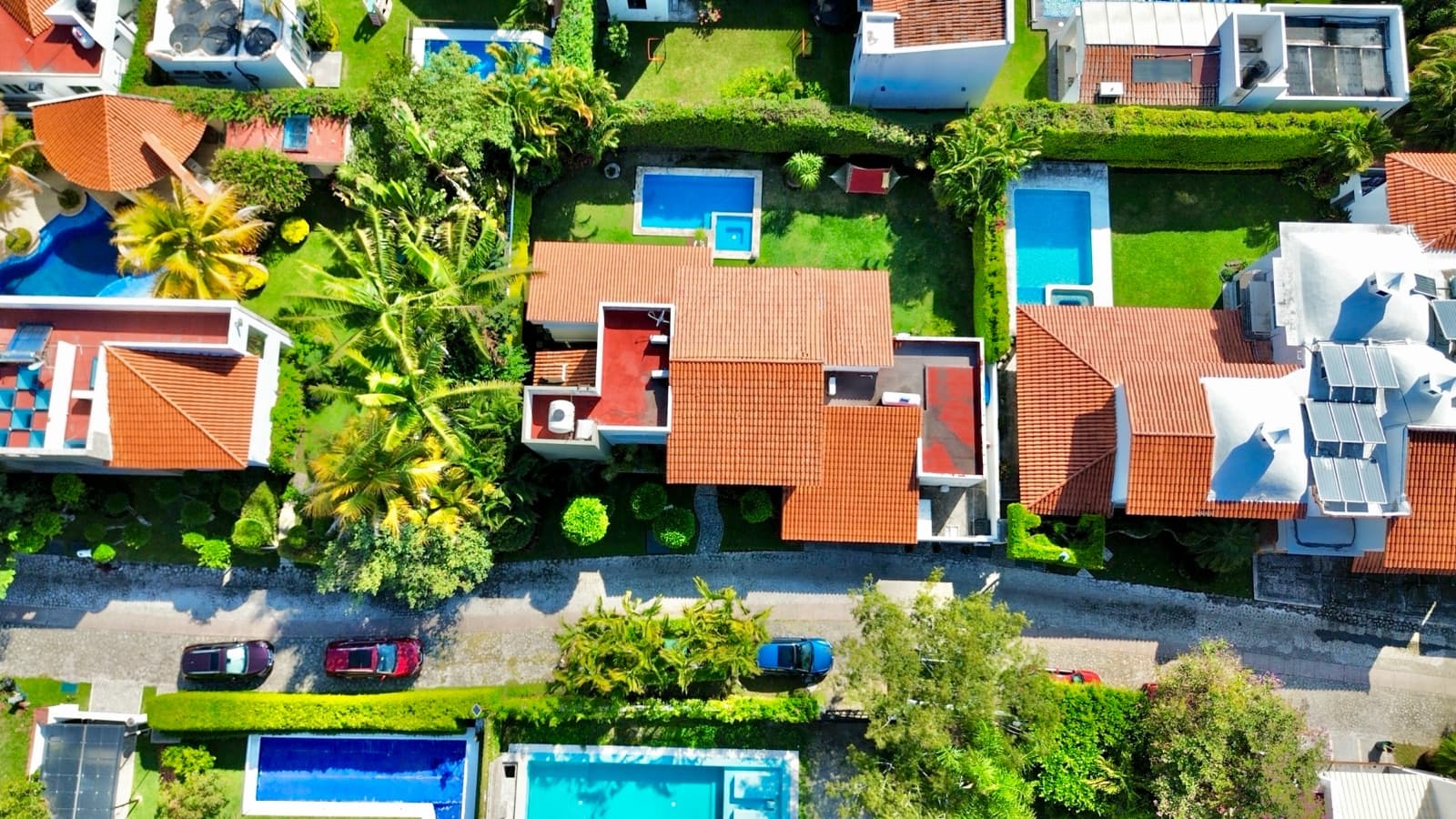 Spectacular garden and pool; the property is in excellent condition