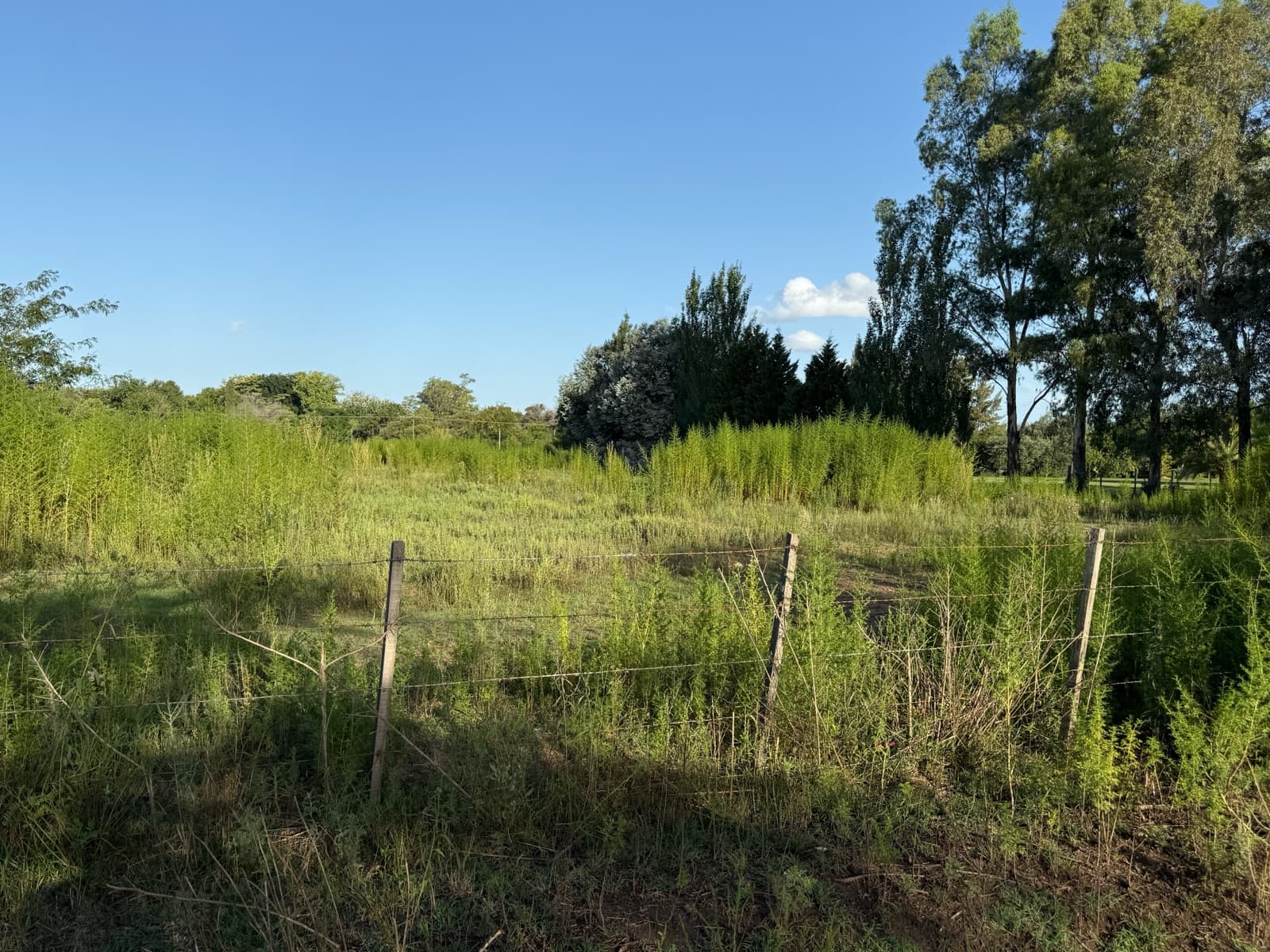 An incredible opportunity—land for sale in Lobos!