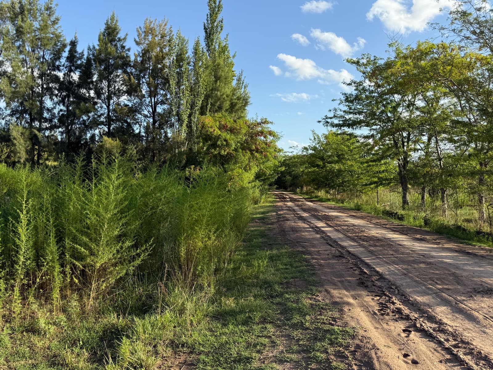 An incredible opportunity—land for sale in Lobos!