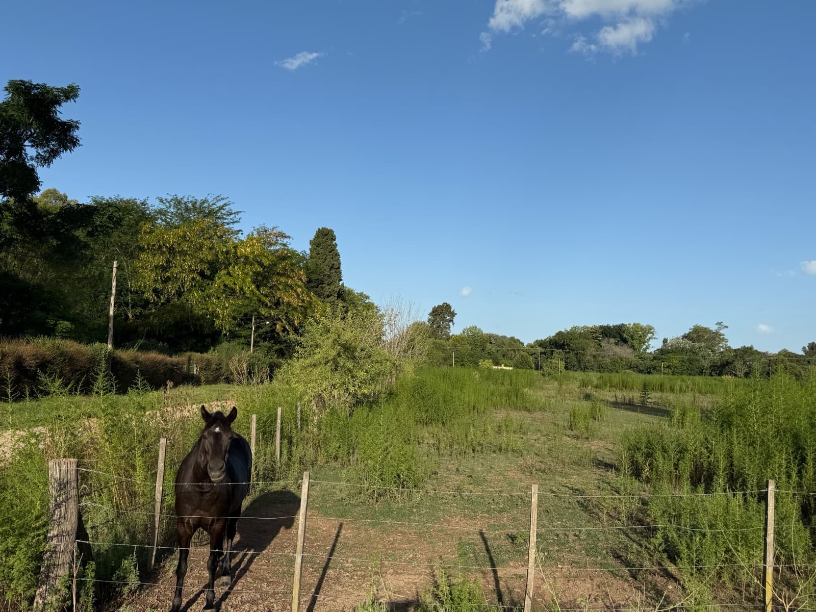 An incredible opportunity—land for sale in Lobos!