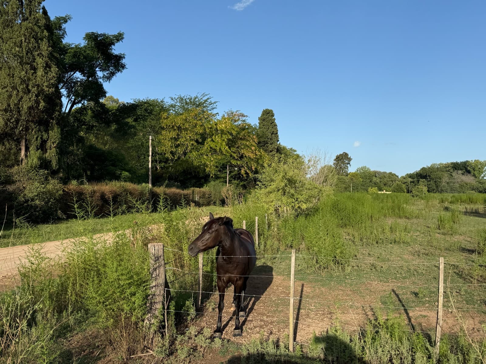 An incredible opportunity—land for sale in Lobos!