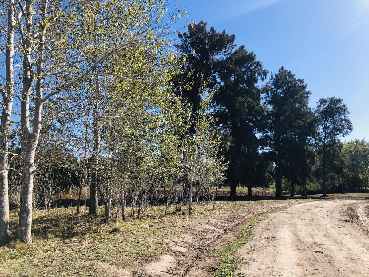 Lot for Sale in the El Paso Neighborhood - Del Viso - Pilar