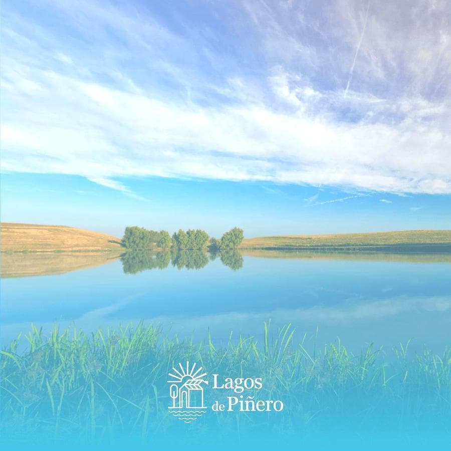 Land for Sale/Financing in the Barrio Abierto Residencial Lagos de Piñero Neighborhood