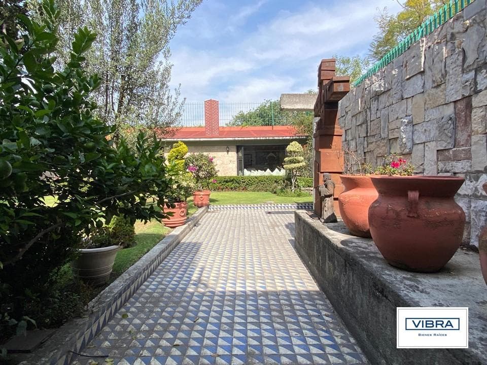 1,129 m² in the heart of San Ángel—ALL IN ONE APARTMENT!