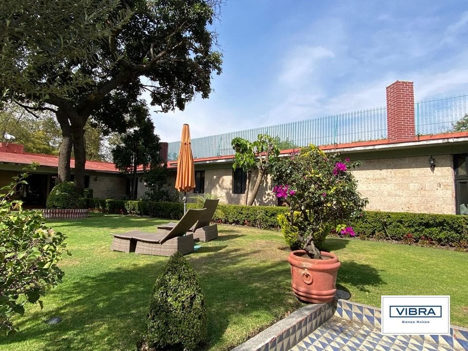 1,129 m² in the heart of San Ángel—ALL IN ONE APARTMENT!