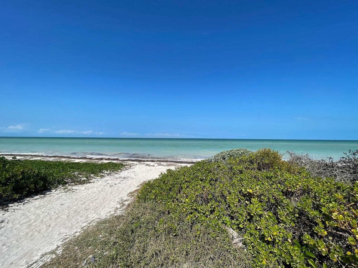 Oceanfront Lot for Sale in Chicxulub Puerto—20 Linear Meters