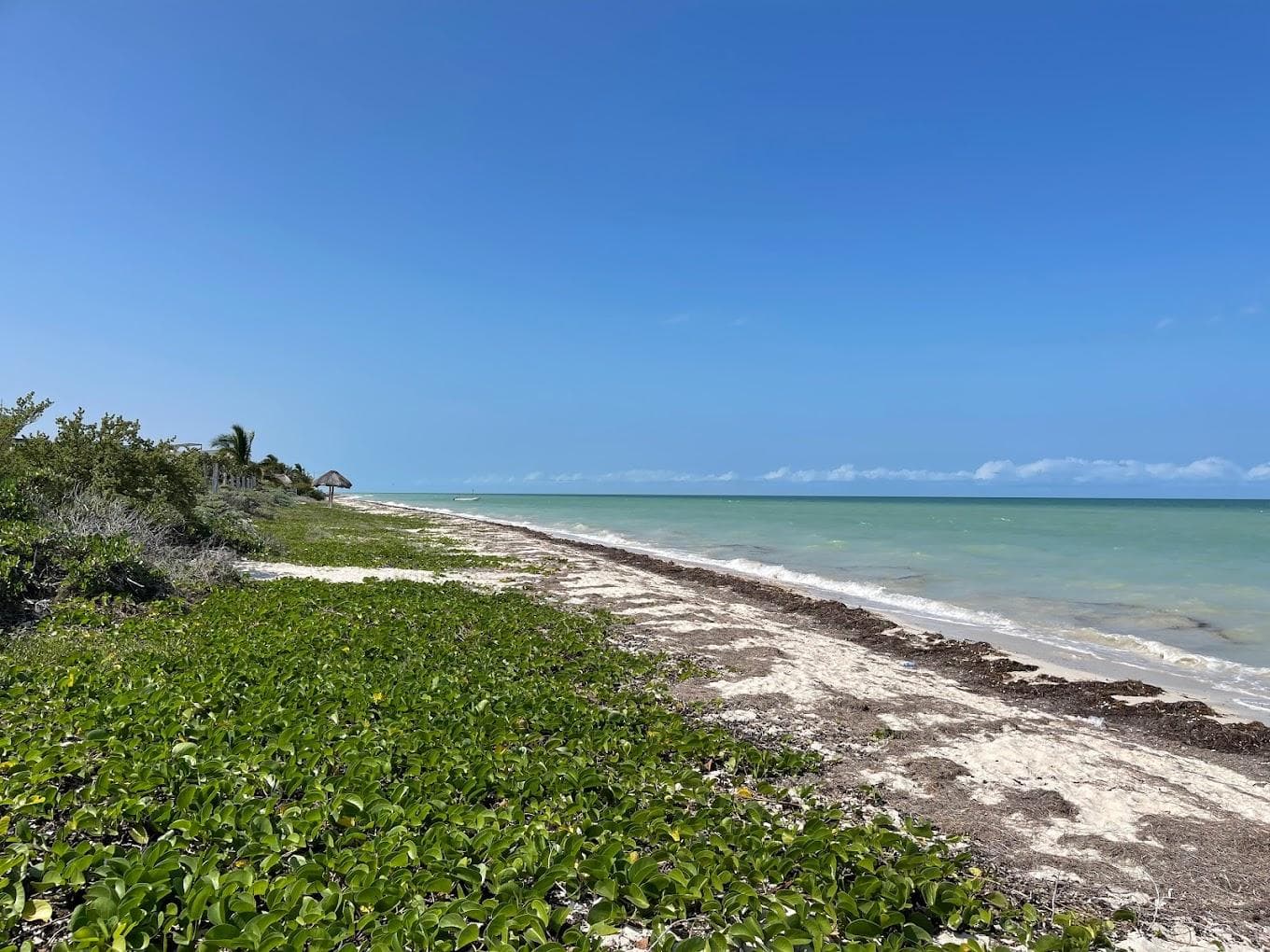 Oceanfront Lot for Sale in Chicxulub Puerto—20 Linear Meters