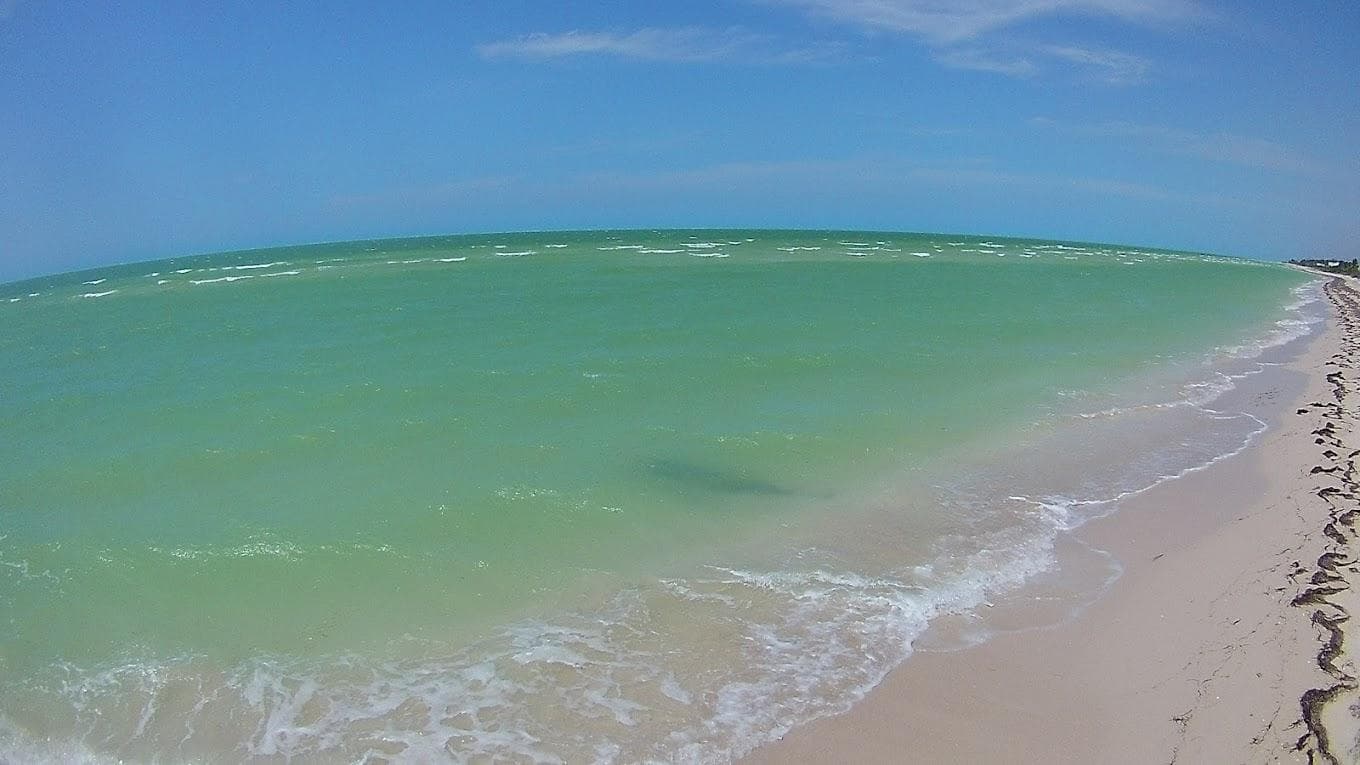 Oceanfront Lot for Sale in Chicxulub Puerto—20 Linear Meters