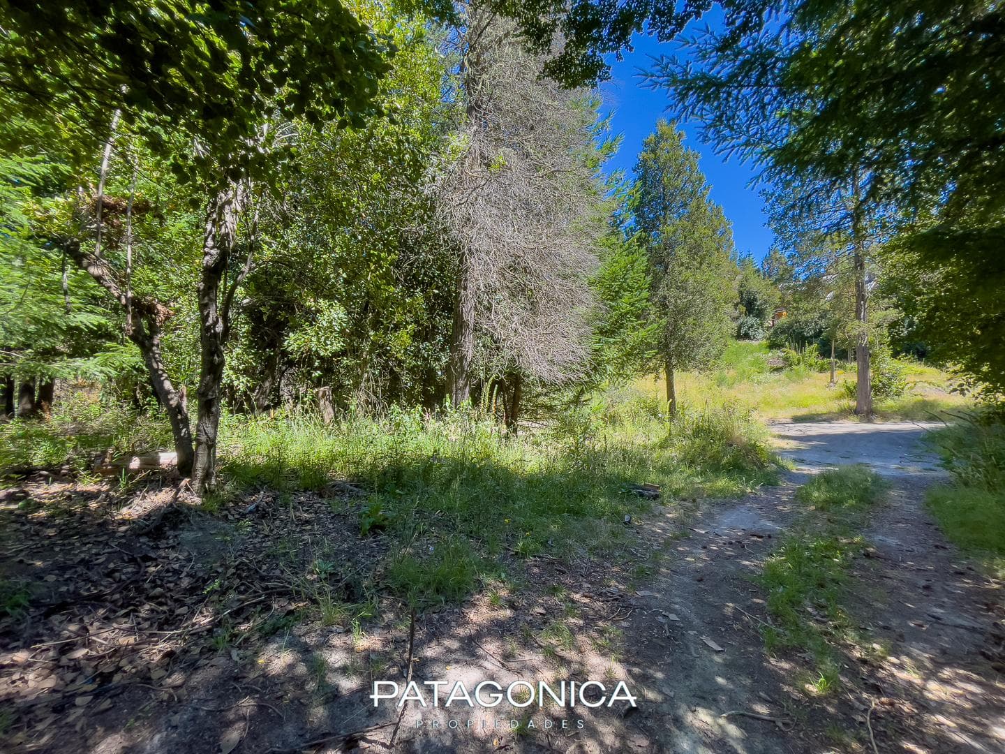 FOR SALE: 1,320 m² LOT IN THE LAS BALSAS GATED COMMUNITY, VILLA LA ANGOSTURA