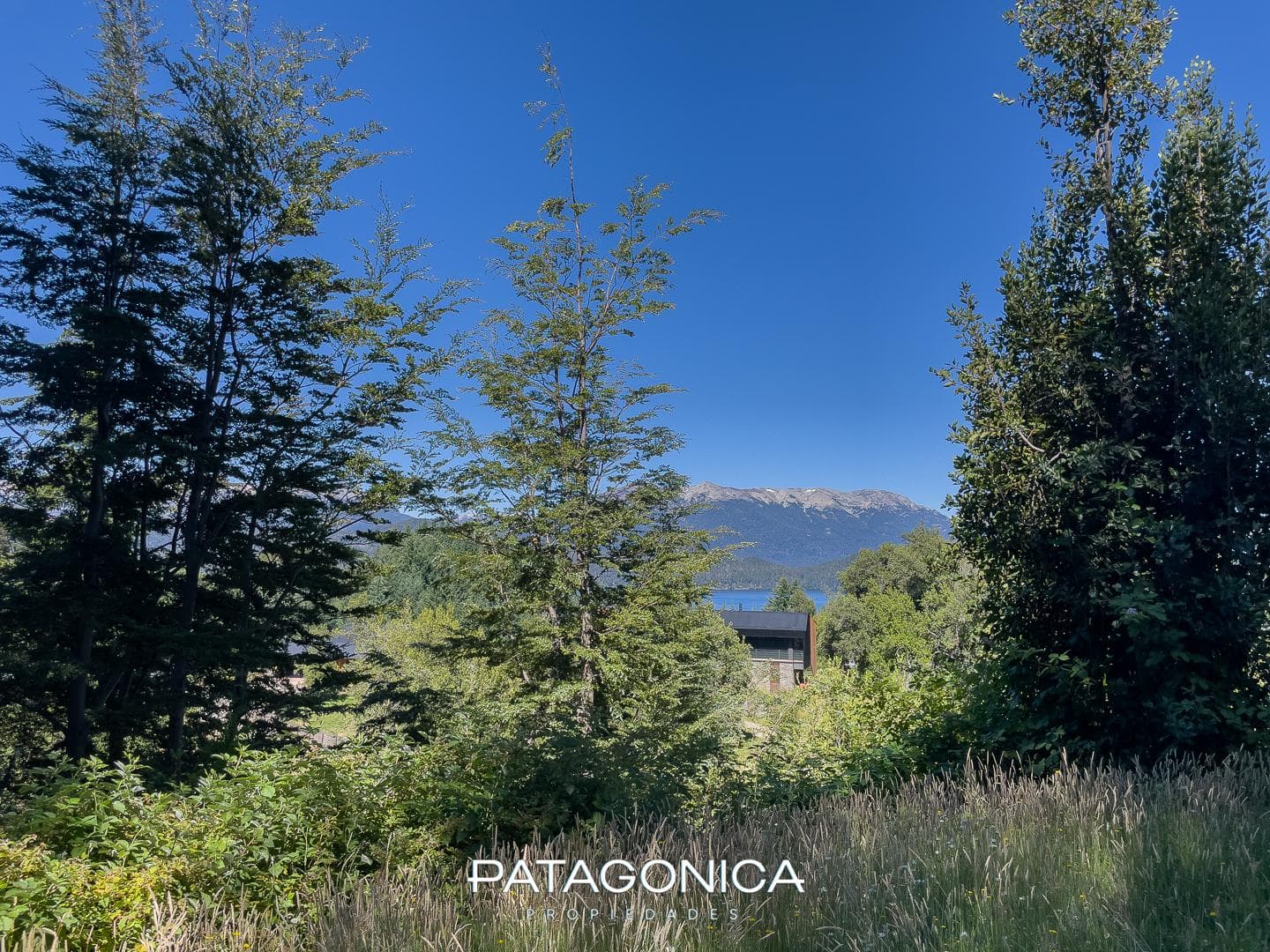 FOR SALE: 1,610 m² LOT, LOS RODODENDROS GATED COMMUNITY, VILLA LA ANGOSTURA