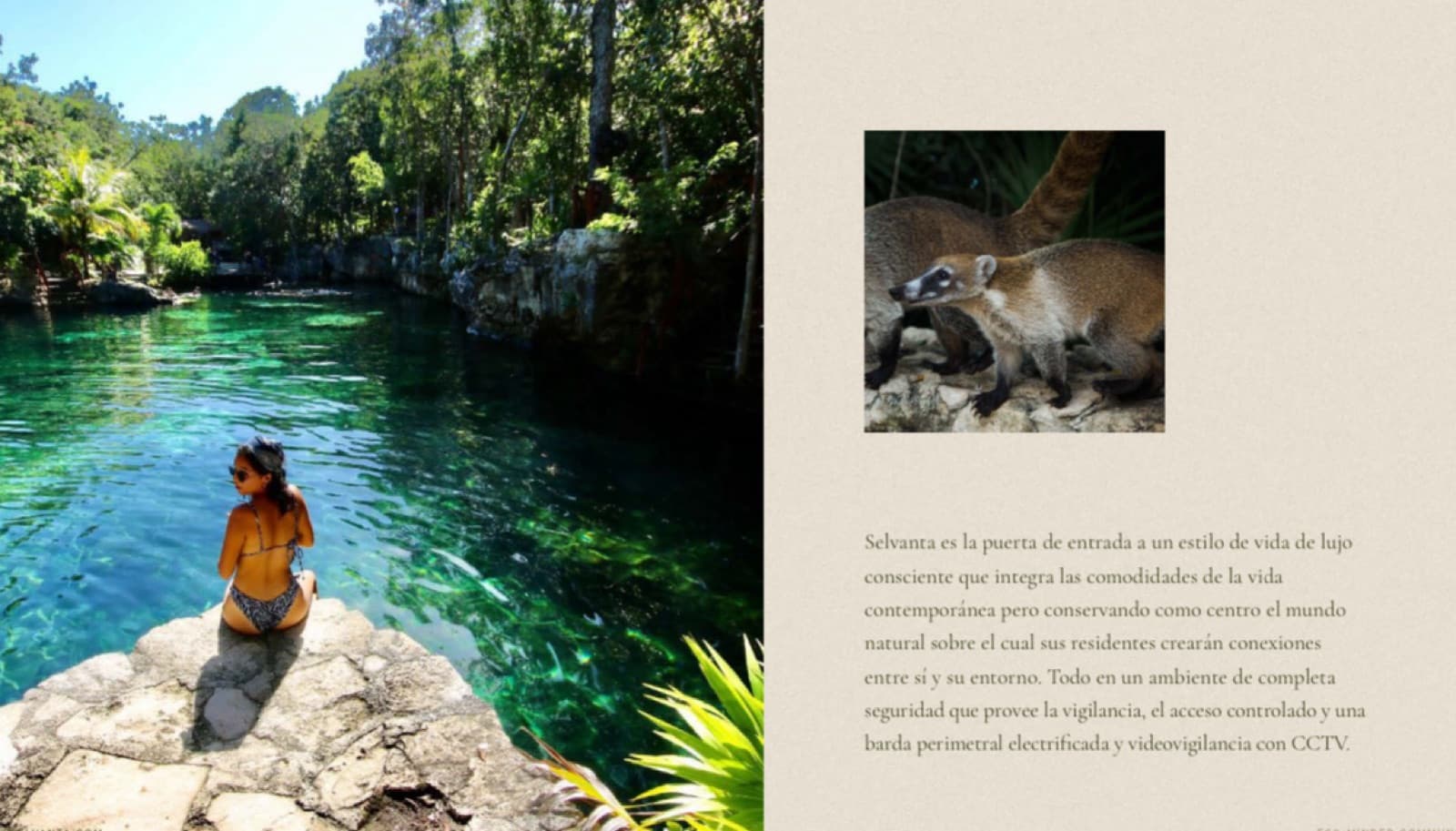 Commercial Land - Tulum