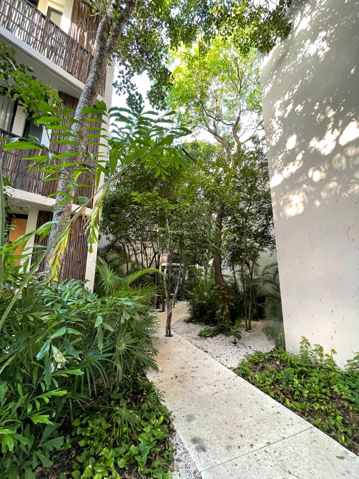 REUNION WITH YOU: OPHELIA—APARTMENT AVAILABLE IMMEDIATELY