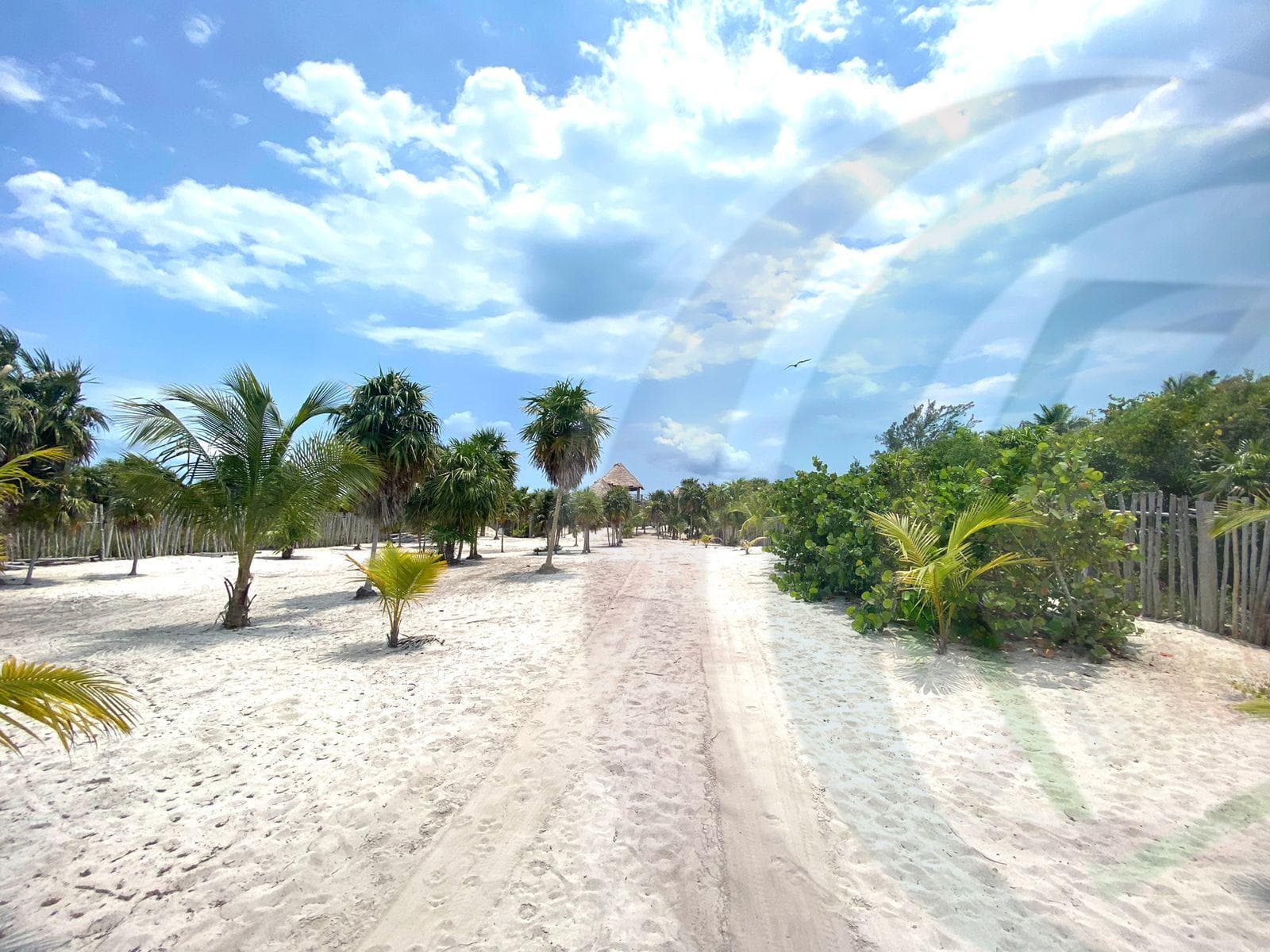 Land in ISLA BLANCA