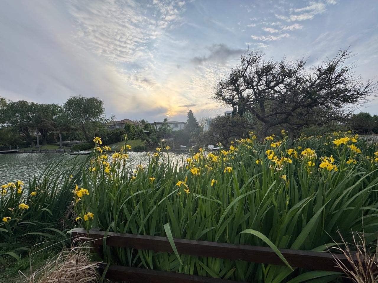 Homes for Sale and Rent in Santa Barbara