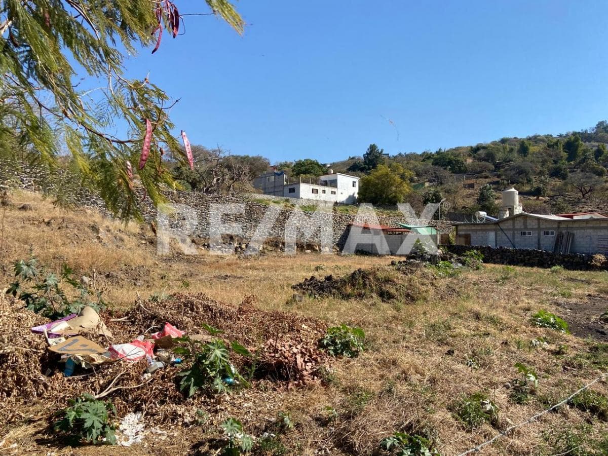 Land for Sale in Morelos, Tepoztlán