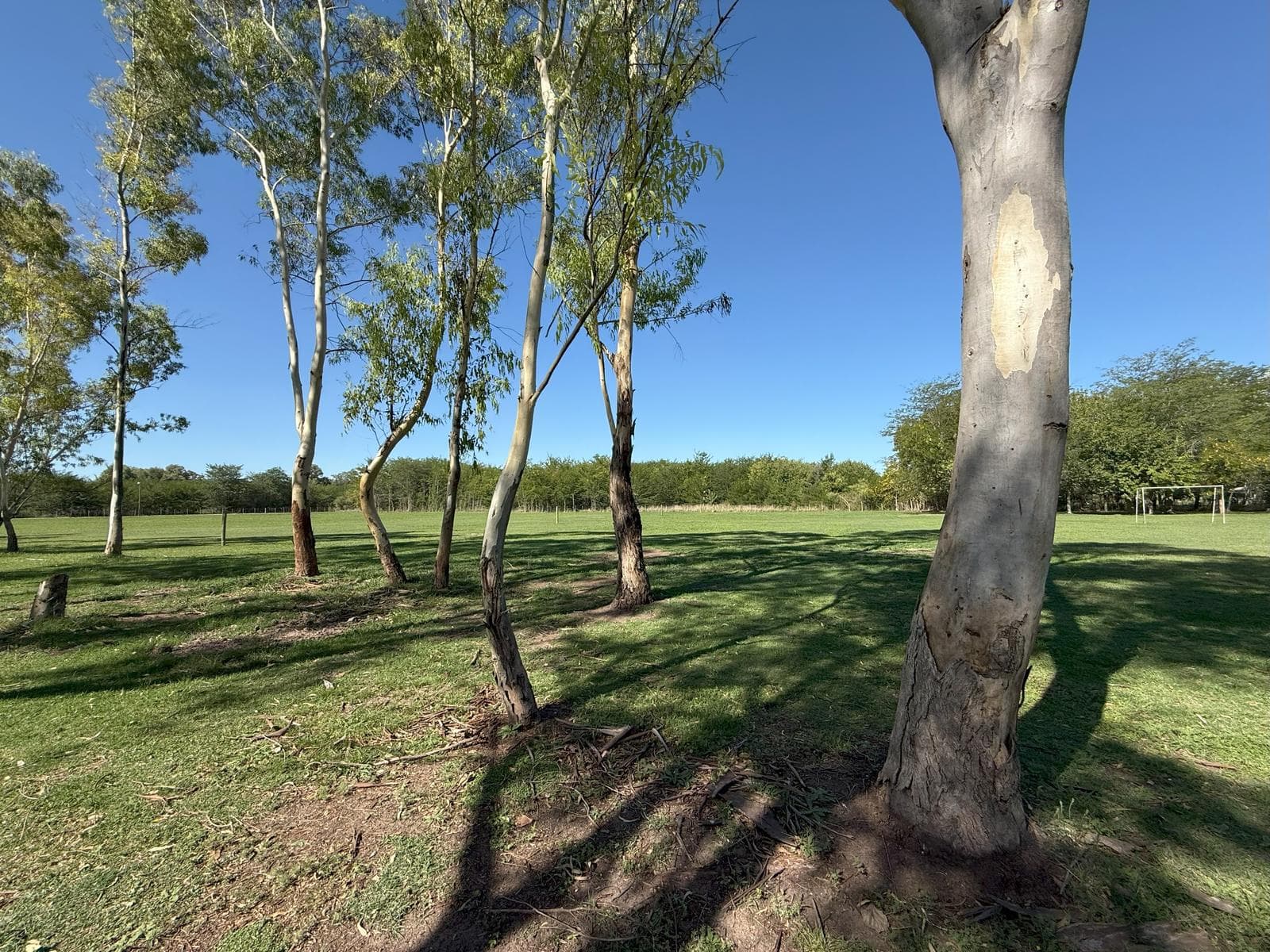 Land for sale, surrounded by the serenity of a natural, green setting that will steal your heart!