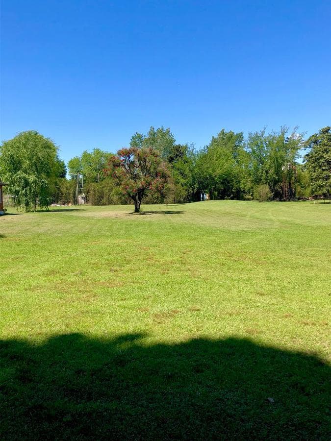 Field - Timbo Field