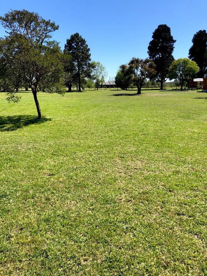 Field - Timbo Field