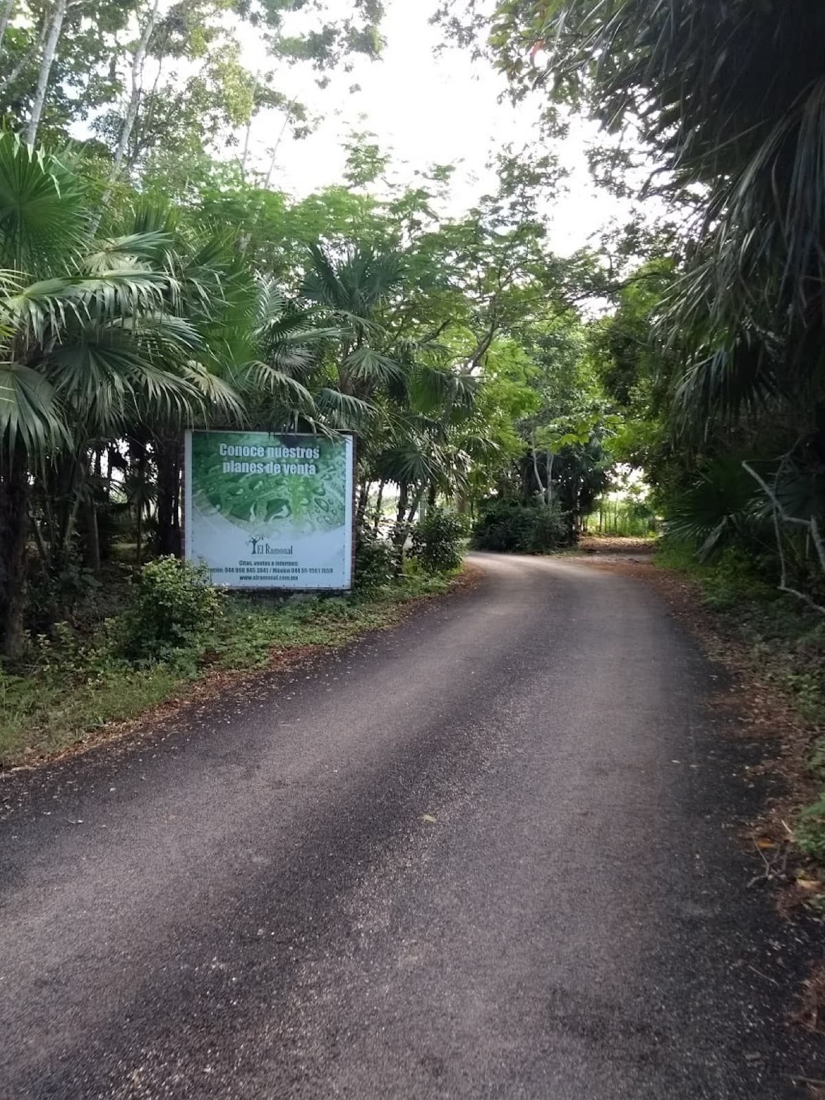 Land - Cancún