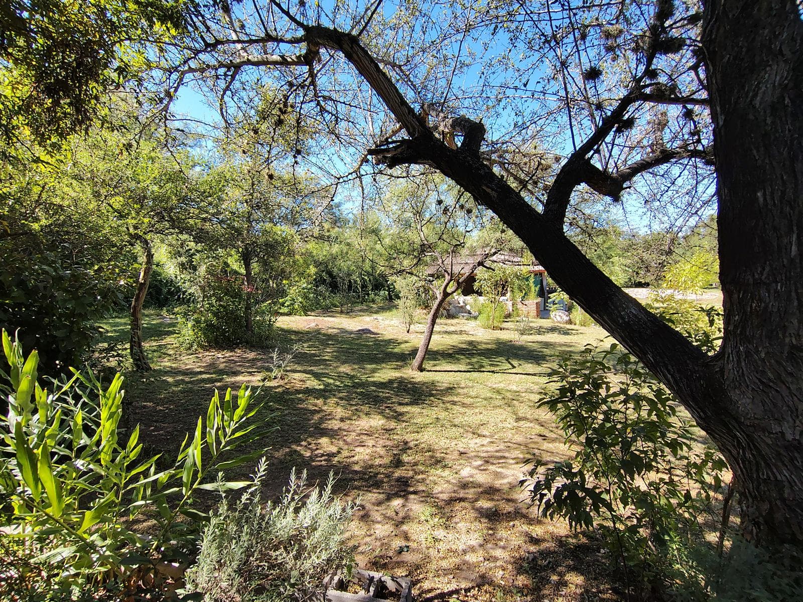 New Listing! Bargain: 2-Bedroom House with Yoga Studio | Villa de Las Rosas | USD 159,000