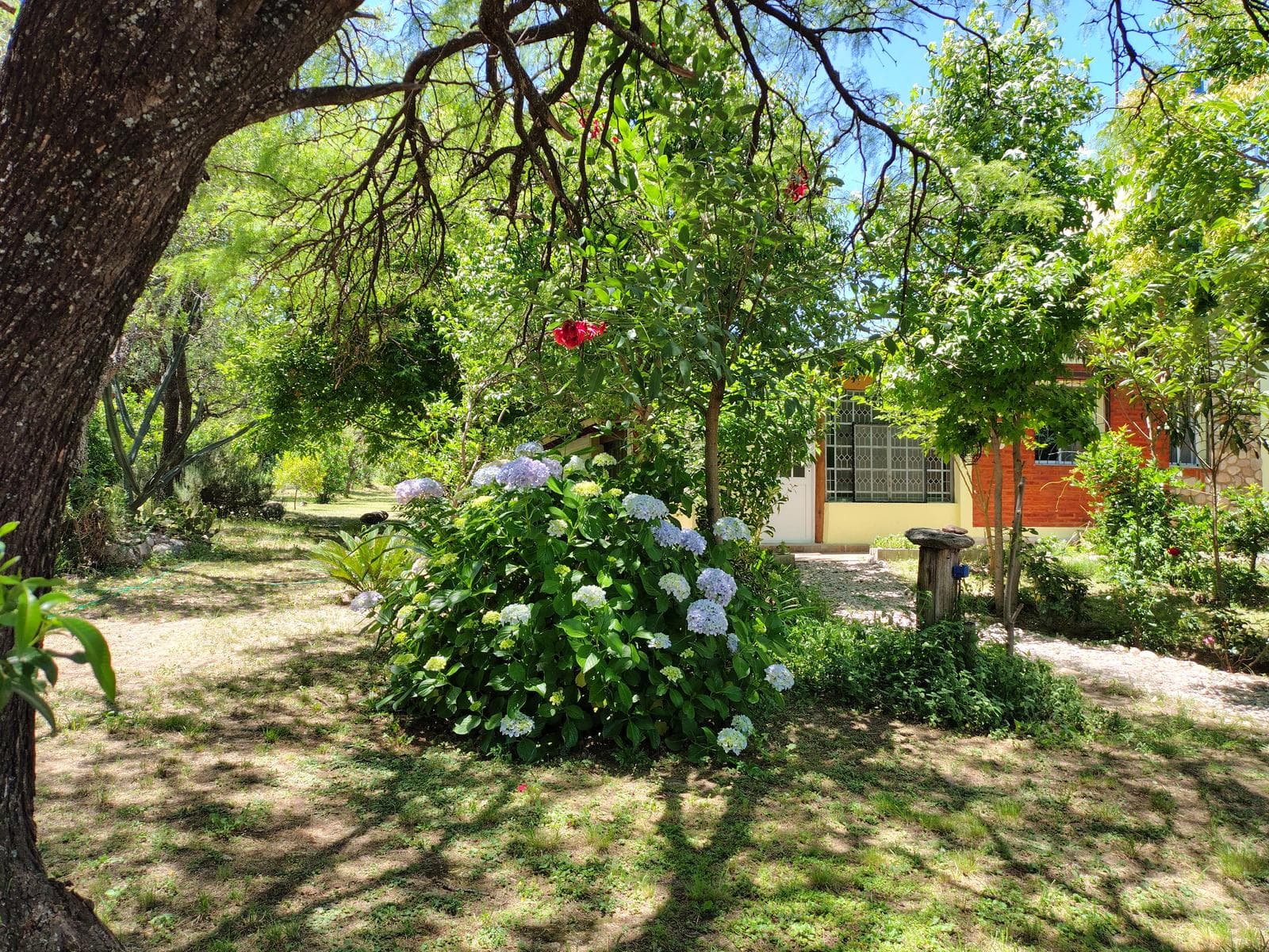 New Listing! Bargain: 2-Bedroom House with Yoga Studio | Villa de Las Rosas | USD 159,000