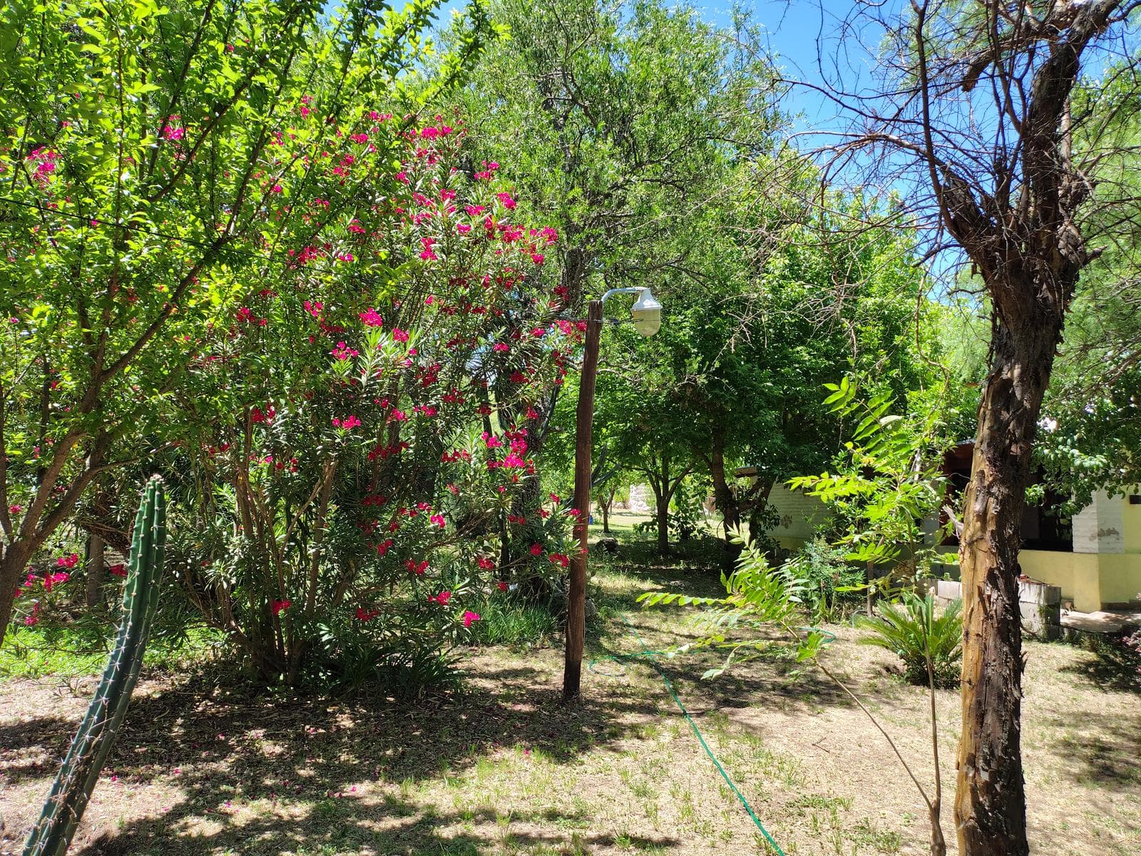 New Listing! Bargain: 2-Bedroom House with Yoga Studio | Villa de Las Rosas | USD 159,000